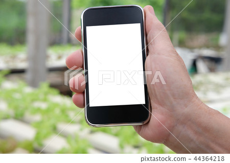 agronomist farmer using smart phone to monitor ec, pH, temperature of lettuce vegetable in hydroponic farm 44364218