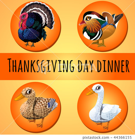 A poster on the theme of the traditional dinner for thanksgiving day. Poultry or domestic fowl A poster on the theme of the traditional dinner for thanksgiving day. Poultry or domestic fowl 44366155