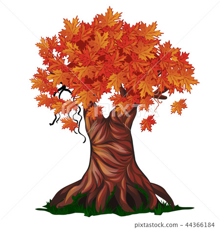 插图素材: fantasy deciduous tree in the fall isolated on white