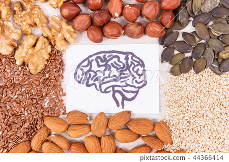 Drawing of brain and best food for health Drawing of brain and best food for health 44366414