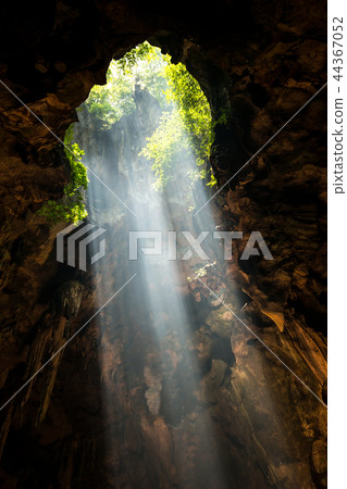 Beam from the hold of cave Beam from the hold of cave 44367052