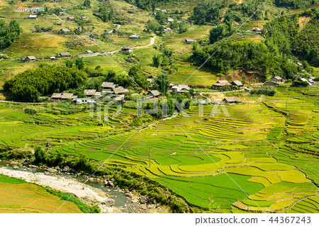 Rice terrace in Sapa Vietnam Rice terrace in Sapa Vietnam 44367243