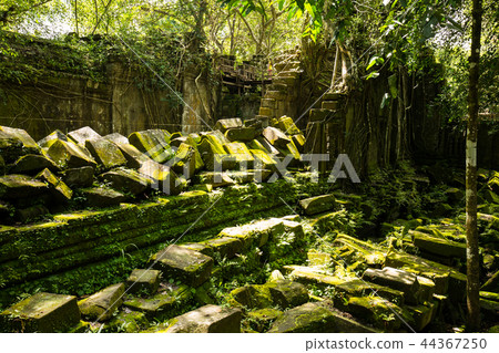 Beng Mealea 44367250