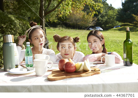 picnic picnic 44367701