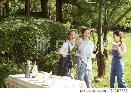 picnic picnic 44367715