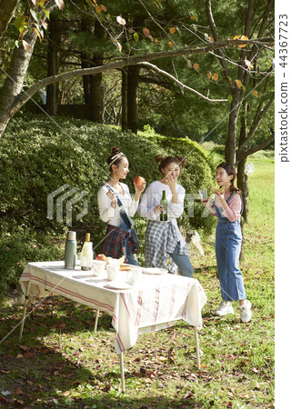 picnic picnic 44367723