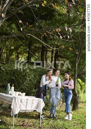 picnic picnic 44367730