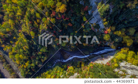 流星瀑布 44369971