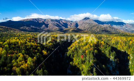 流星瀑布 44369972