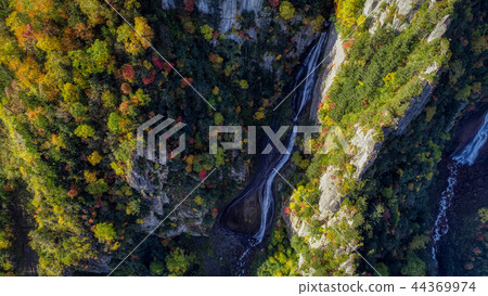 流星瀑布 44369974