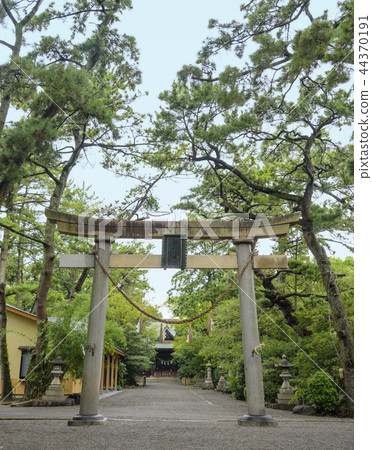 Hamamatsu Hachimangu Shrine Torii and Hall (Hamamatsu City, Shizuoka Prefecture) 44370191