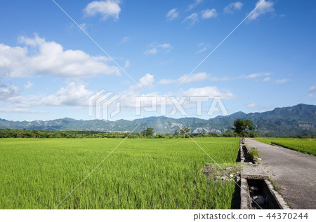 road on the farm 44370244