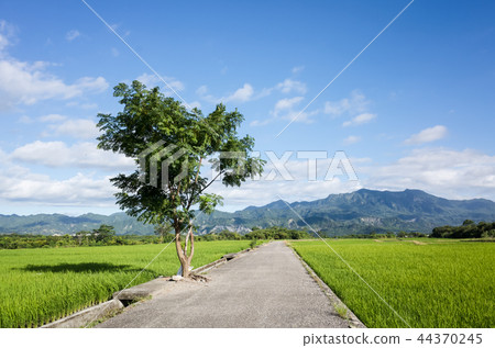 road on the farm road on the farm 44370245