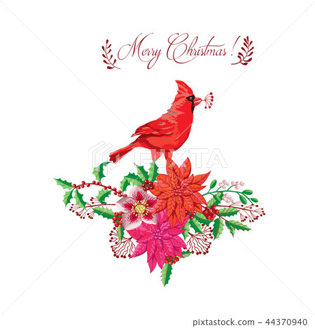 Christmas decoration with Bird and Poinsettia. Vector Illustration 44370940