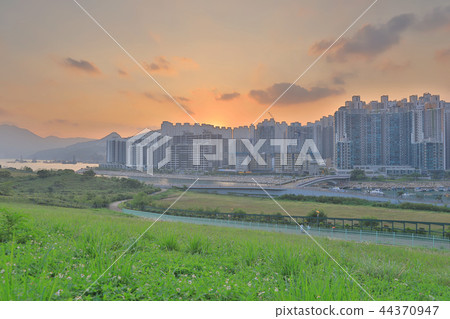 a skyline of Tseung Kwan O South 44370947