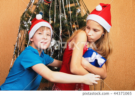 Humorous dispute over a gift box near a decorated Christmas tree Humorous dispute over a gift box near a decorated Christmas tree 44371065