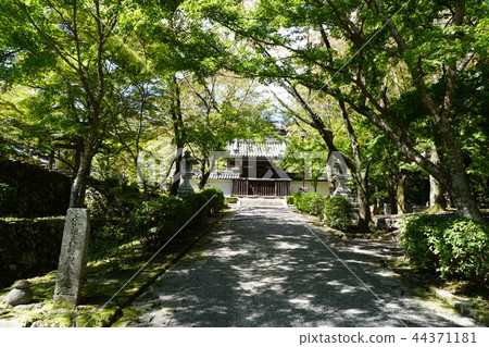 Saikyoji approach 44371181