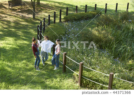 picnic picnic 44371366