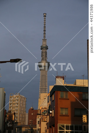 東京淺草 44371986