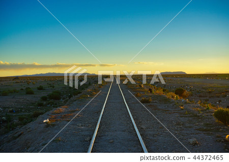 Bolivia Uyuni 44372465