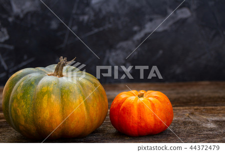 Fall harvest of pumpkins Fall harvest of pumpkins 44372479