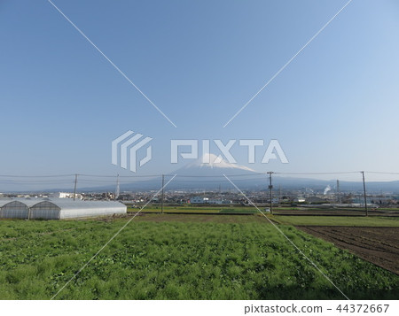 富士觀景 44372667