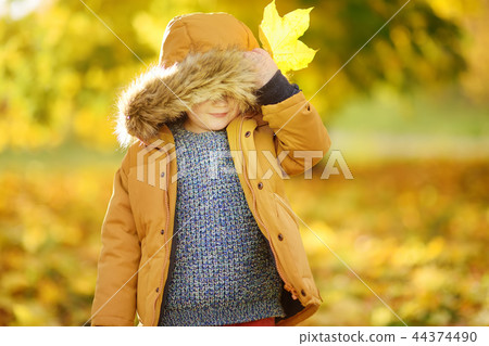 Little boy during stroll in the forest at sunny autumn day Little boy during stroll in the forest at sunny autumn day 44374490