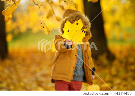 Little boy during stroll in the forest at sunny autumn day 44374493