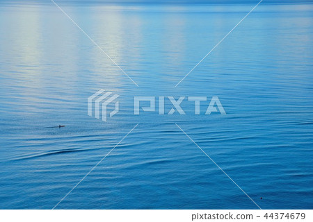Summer image-sea 10 Summer image-sea 10 44374679
