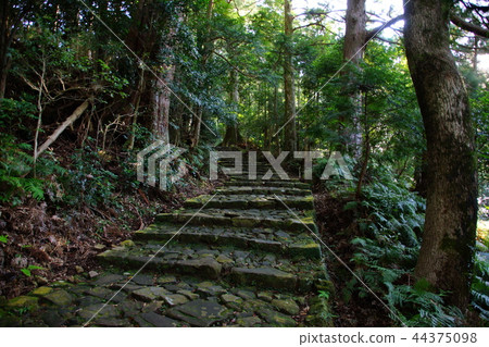 Kumano Kodo Daimonzaka Nachiyama石階/ Dotoishi附近(和歌山縣東武郡Nachi Katsuura-cho) Kumano Kodo Daimonzaka Nachiyama石階/ Dotoishi附近(和歌山縣東武郡Nachi Katsuura-cho) 44375098