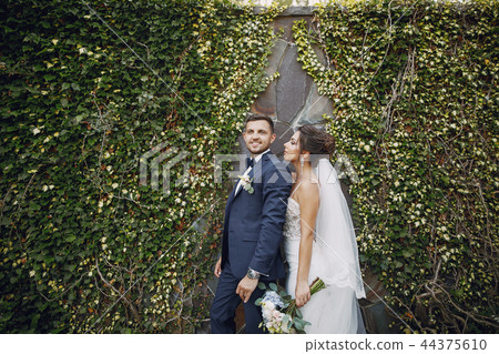 wedding couple wedding couple 44375610