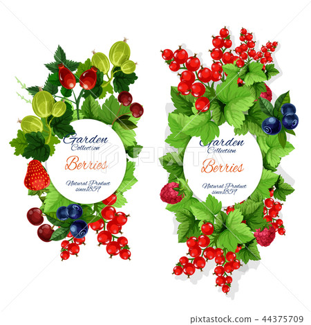Vector natural garden berries banners 44375709