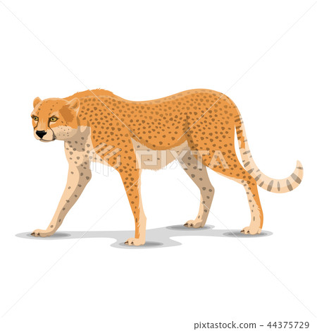 Cartoon cheetah wild animal, vector 44375729