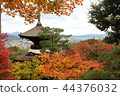 Autumn leaves 44376032