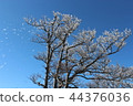 A tree 44376036