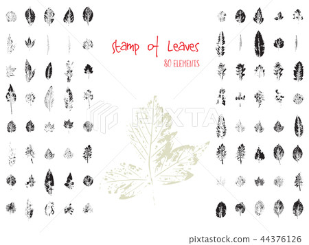 Collection of black paint seal leaves of trees and plants 44376126