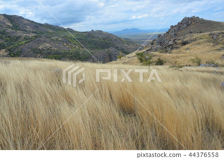Yellow grass on the top of the mountain Yellow grass on the top of the mountain 44376558