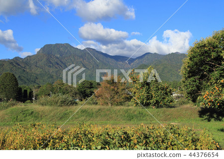 安曇野有明山麓丘陵落下 44376654