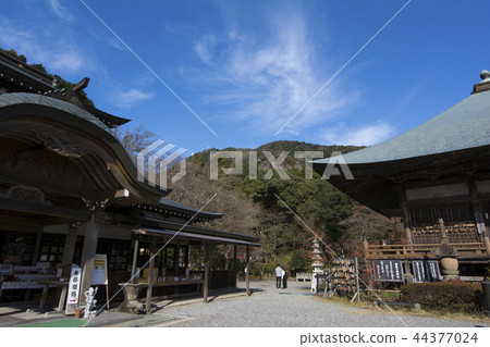 Oita Oita 44377024