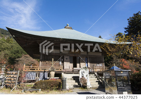 Oita Oita 44377025