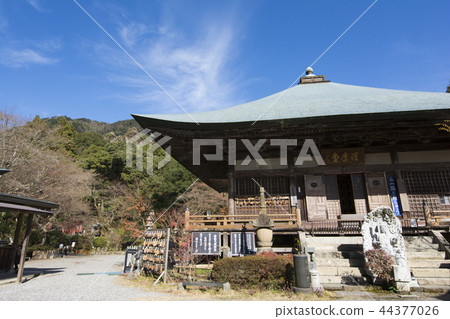 Oita Oita 44377026