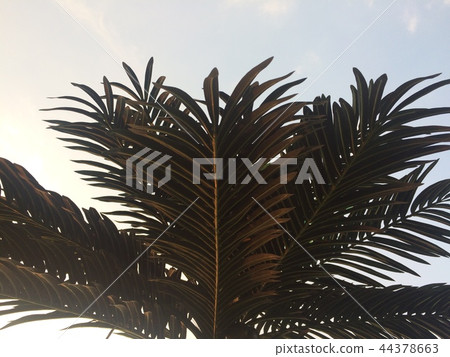 那個季節 44378663