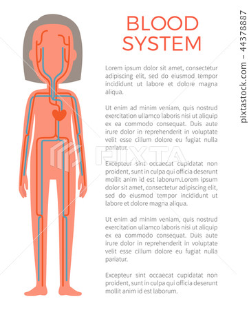 Blood System Poster and Text Vector Illustration Blood System Poster and Text Vector Illustration 44378887