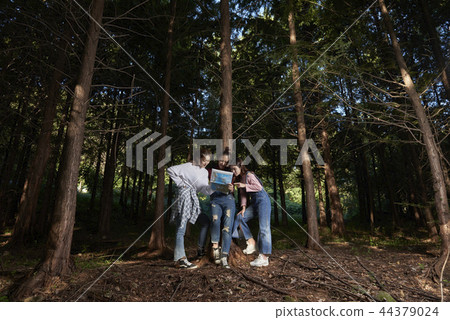 picnic picnic 44379024