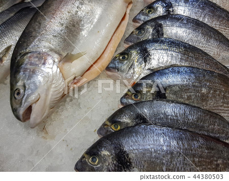 Freshly caught fish Freshly caught fish 44380503