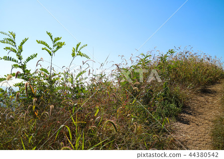 Mountain landscape, city landscape, autumn landscape Mountain landscape, city landscape, autumn landscape 44380542