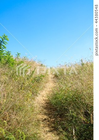 Mountain landscape, city landscape, autumn landscape Mountain landscape, city landscape, autumn landscape 44380548
