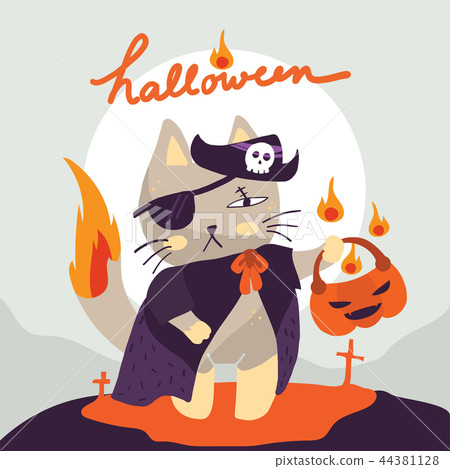 cat wearing pirate costume