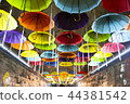傘 44381542