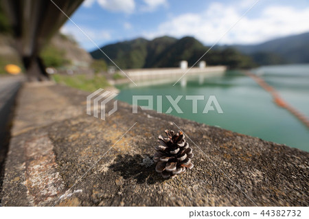 松果和奧多摩湖 44382732